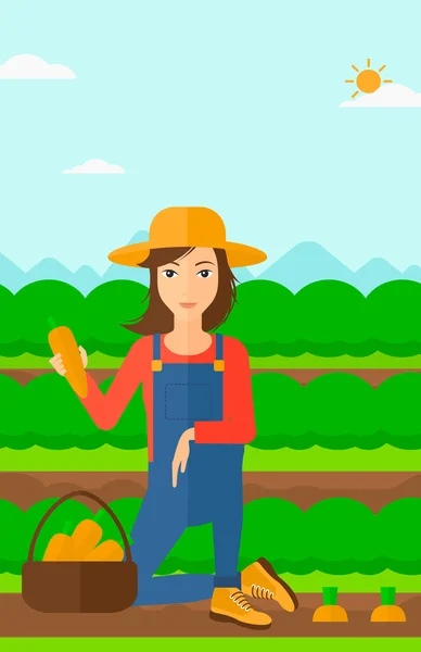 Jordbrukaren samlande morötter. — Stock vektor