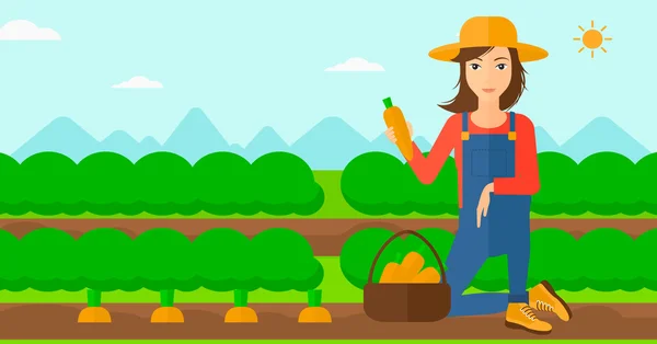 Agricultor recogiendo zanahorias . — Vector de stock