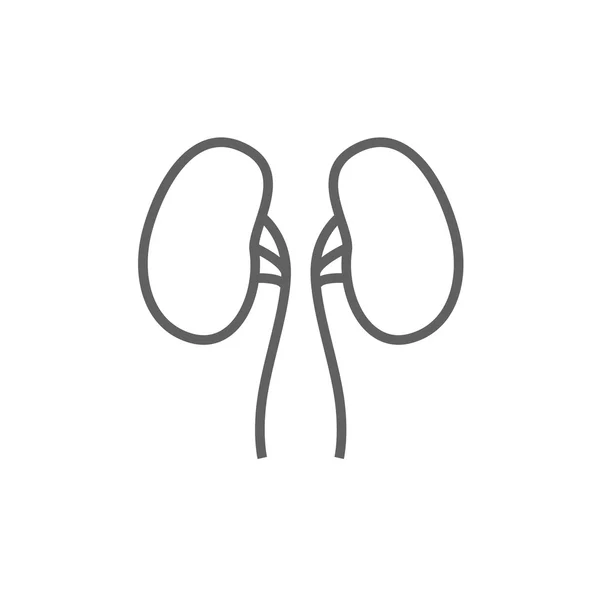 Icono de línea renal. — Archivo Imágenes Vectoriales