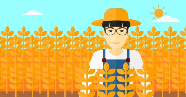 Buğday tarlasında bir adam.