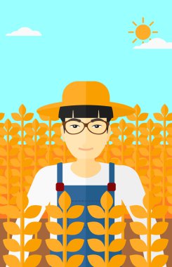 Buğday tarlasında bir adam.