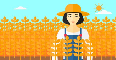 Buğday tarlasında bir adam.