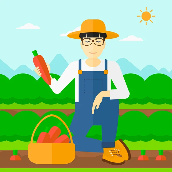 Agricultor recogiendo zanahorias . — Vector de stock