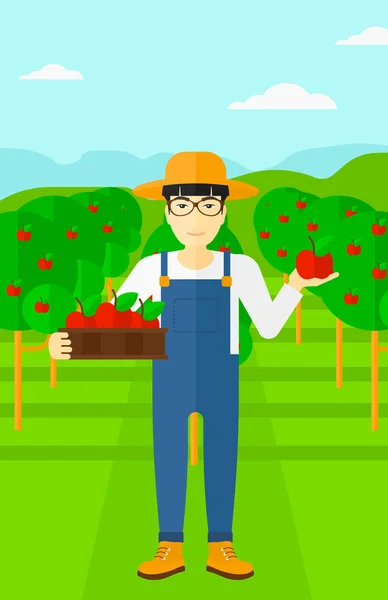 Agricultor recogiendo manzanas . — Vector de stock