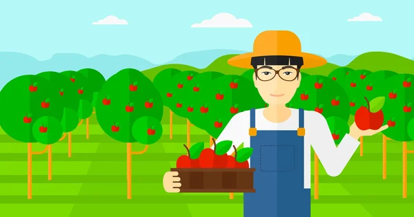 Agricoltore che raccoglie mele . — Vettoriale Stock