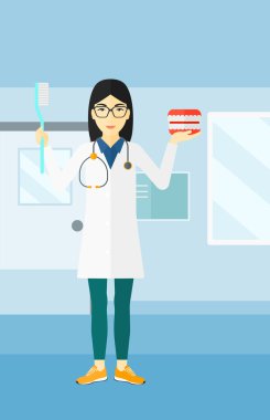 Dişçi diş çene modeli ve diş fırçası.