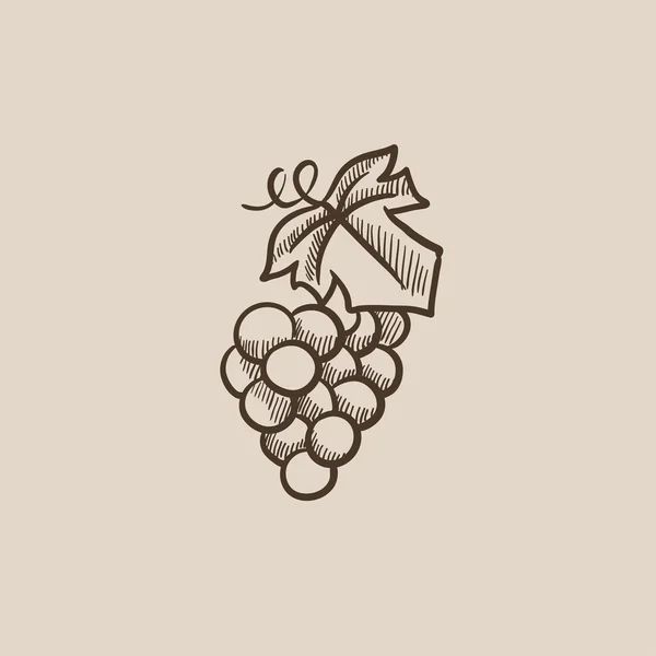 Icône de croquis de raisin . — Image vectorielle