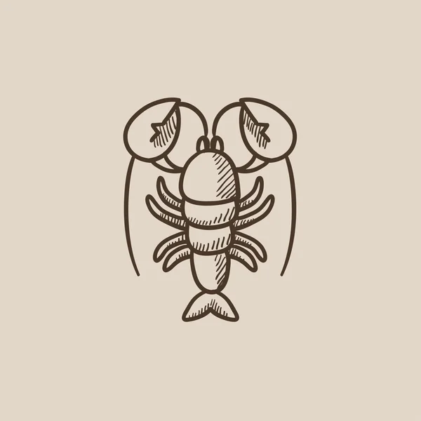 Ícone do esboço de lagosta . — Vetor de Stock