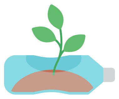 Plastik şişe içinde büyüyen kök kullanılan.