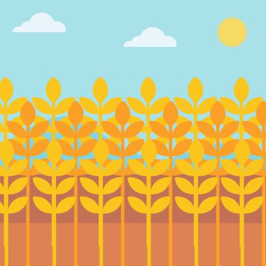 buğday alan arka plan.