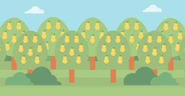 Arka plan armut ağaçlarının.