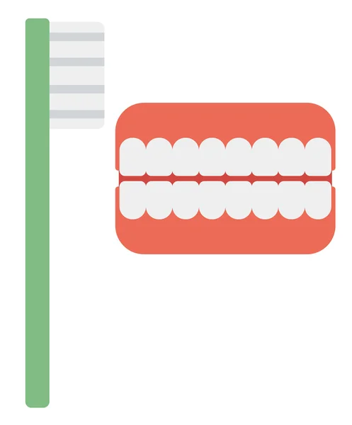 Dental käken modell och tandborste. — Stock vektor
