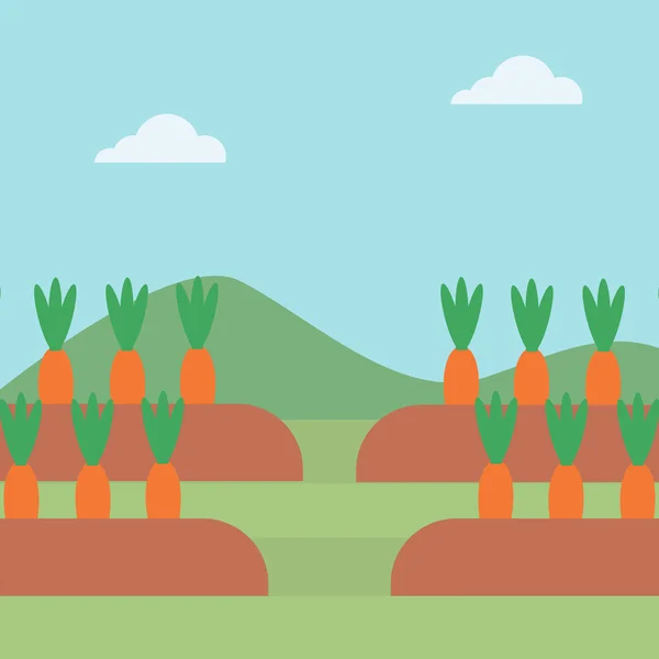 Bakgrund av morötter växer på fält — Stock vektor