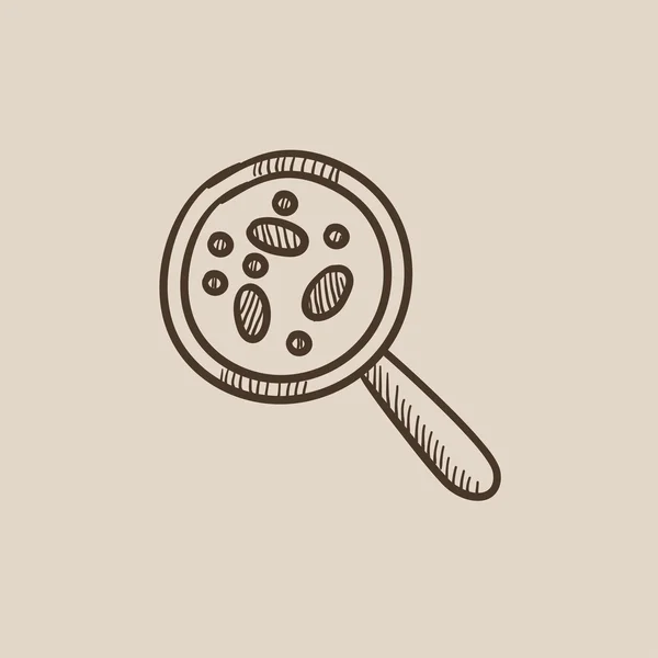 Microorganisms under magnifier sketch icon. — Stock Vector