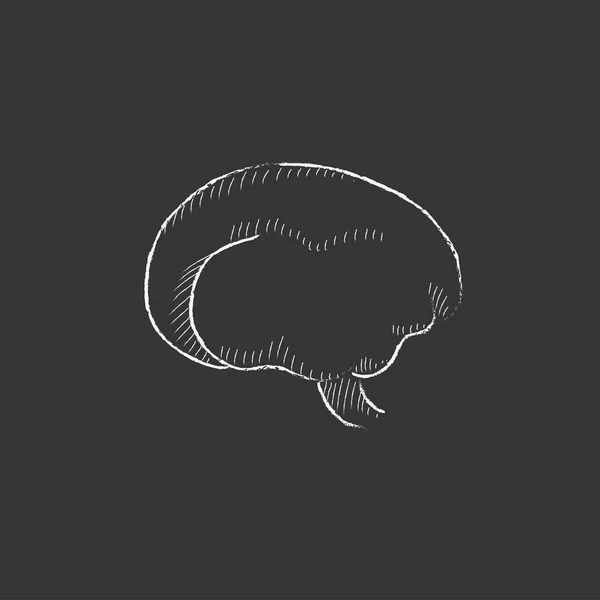Cervello. Disegnato in icona di gesso . — Vettoriale Stock