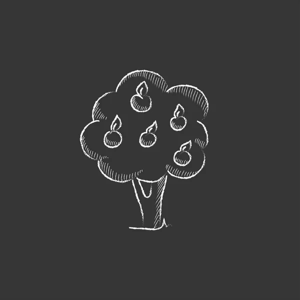 果物の木。チョークのアイコンの描画. — ストックベクタ