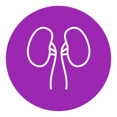 Böbrek çizgisi simgesi.