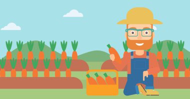 Çiftçi toplama havuç.