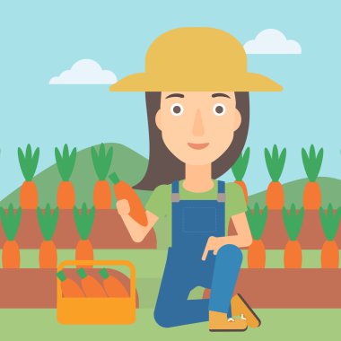 Çiftçi toplama havuç.