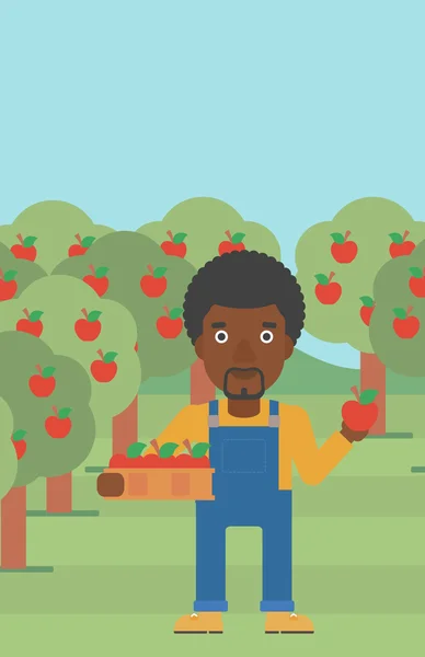 농부 수집 사과. — 스톡 벡터