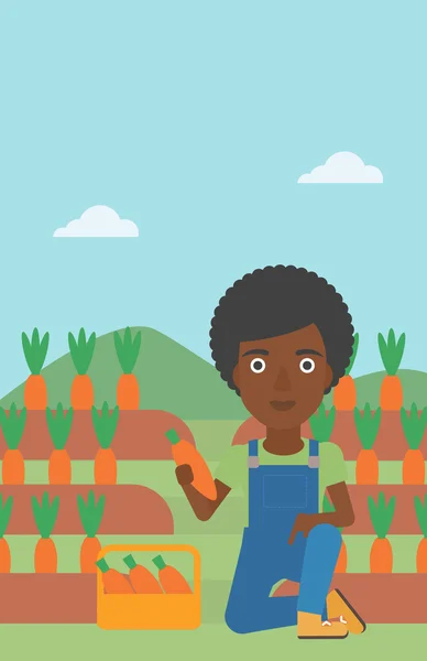 Αγρότης συλλέγοντας καρότα. — Διανυσματικό Αρχείο