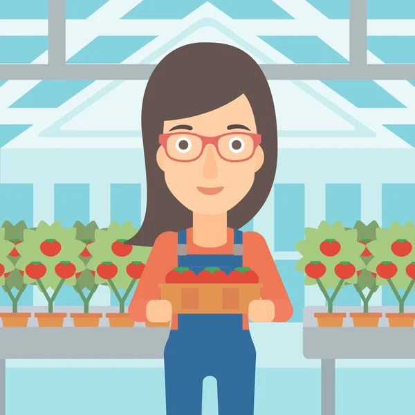 Çiftçi toplama domates. — Stok Vektör