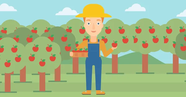 Farmář sbírání jablek. — Stockový vektor
