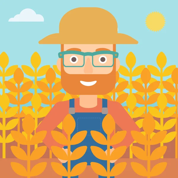 Homme dans le champ de blé. — Image vectorielle
