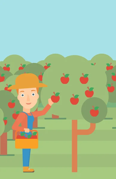 Jordbrukaren samla äpplen. — Stock vektor