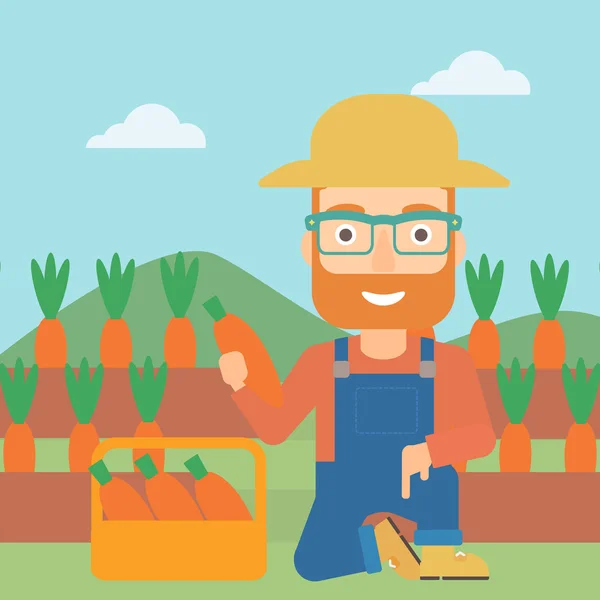 Agricoltore che raccoglie carote . — Vettoriale Stock