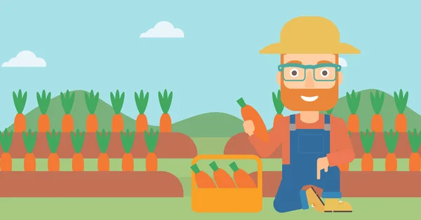 Fermier ramassant des carottes . — Image vectorielle