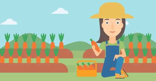 Agricultor recogiendo zanahorias . — Vector de stock