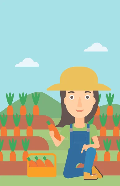 Agricultor recogiendo zanahorias . — Vector de stock