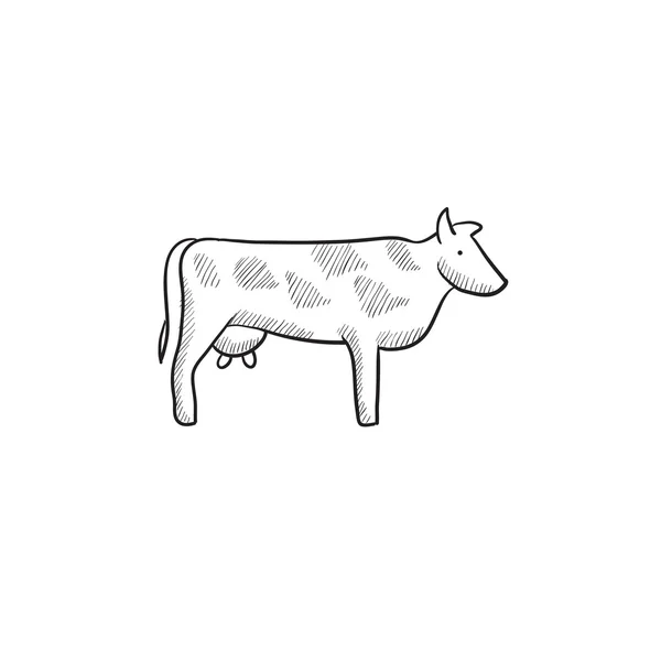 Cow sketch icon. — Stock Vector