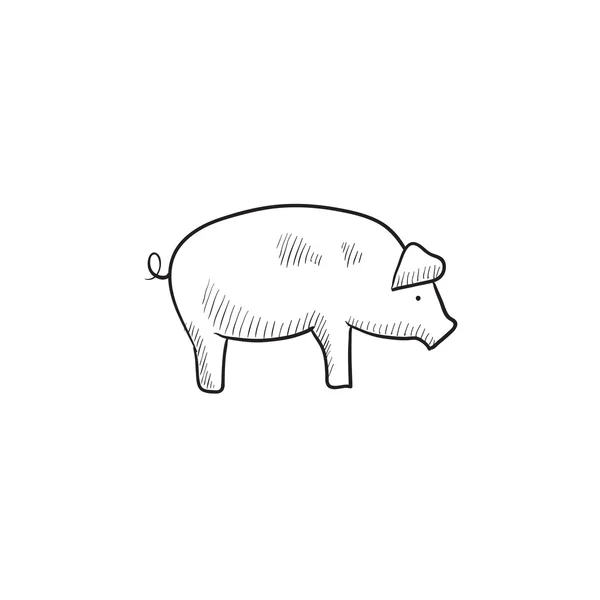 Icono de boceto de cerdo . — Vector de stock