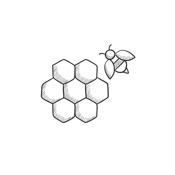 Honingraat en bee schets-pictogram. — Stockvector