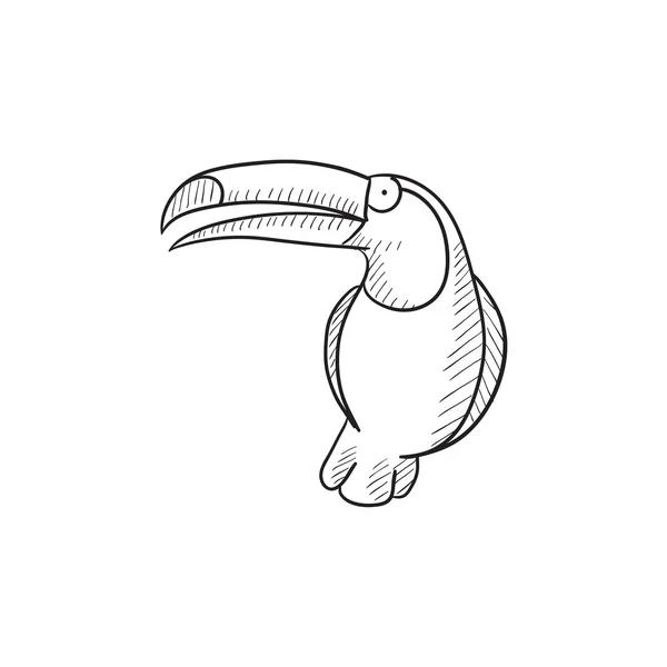 Icône croquis Toucan . — Image vectorielle