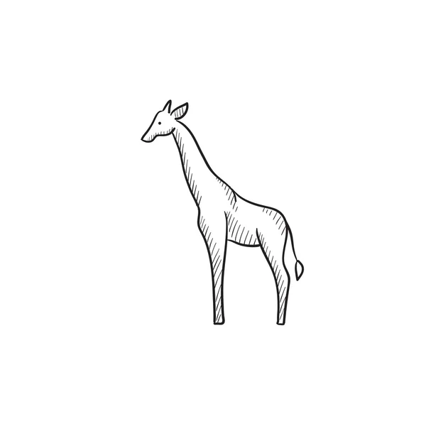 Pictogram van de schets van de Giraffe. — Stockvector