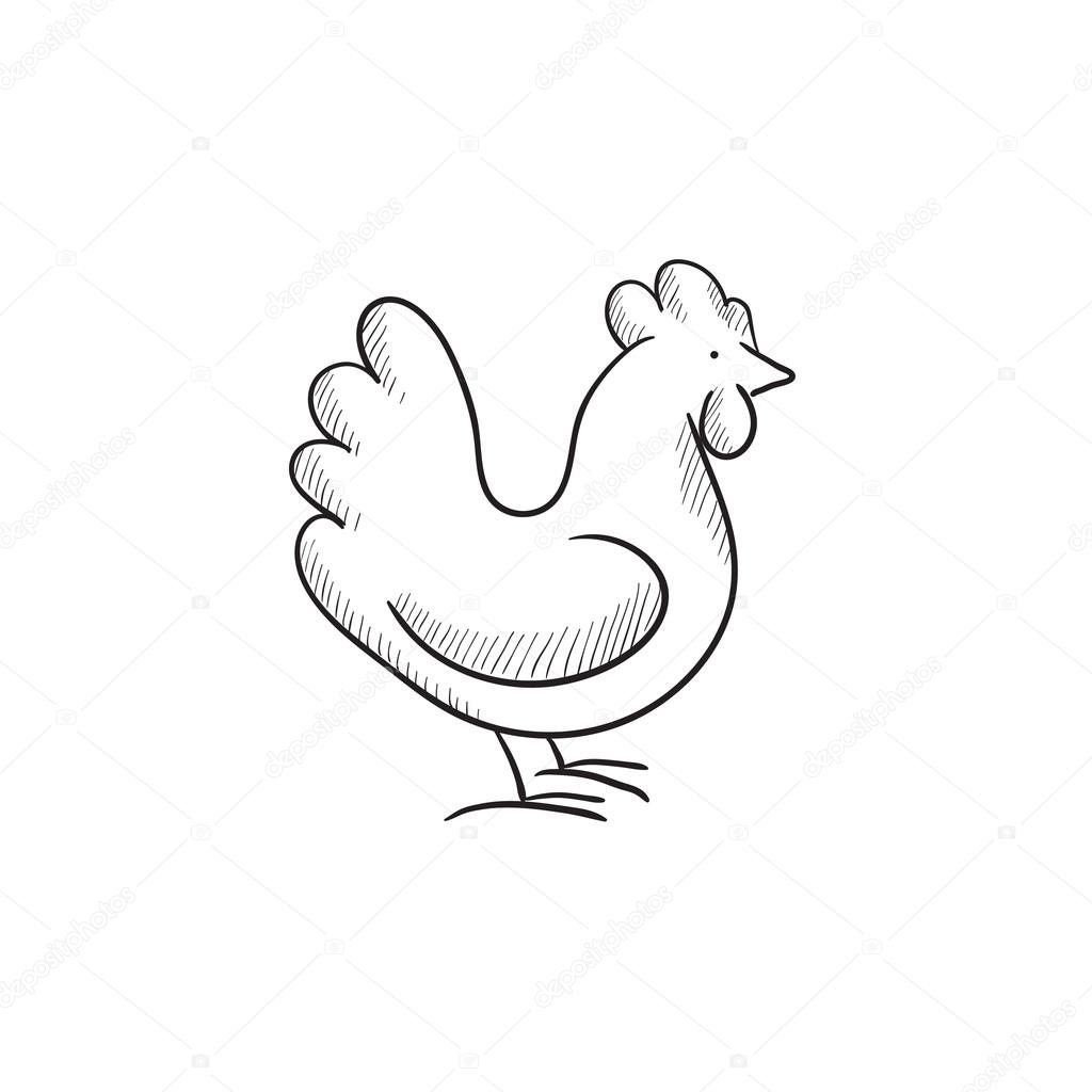 Chicken sketch icon. Stock Vector by ©VisualGeneration 112200904