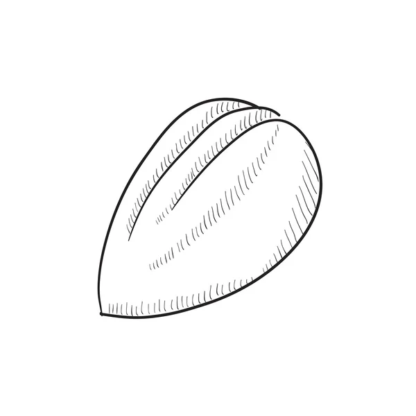 Icono de boceto de almendra . — Vector de stock