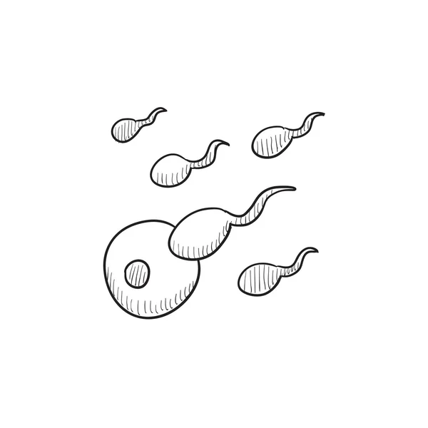 Fertilization sketch icon. — Stock Vector