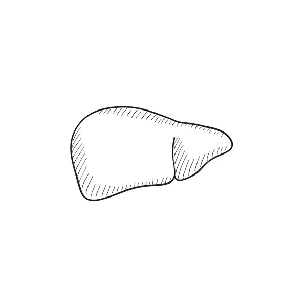 Icono de dibujo hepático . — Vector de stock