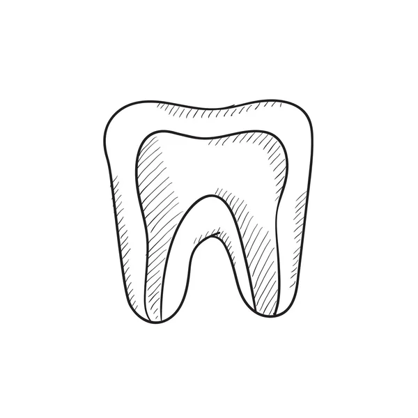 Molar tooth sketch icon. — Stock Vector