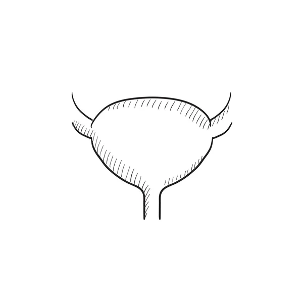 Icono de dibujo de vejiga urinaria . — Vector de stock