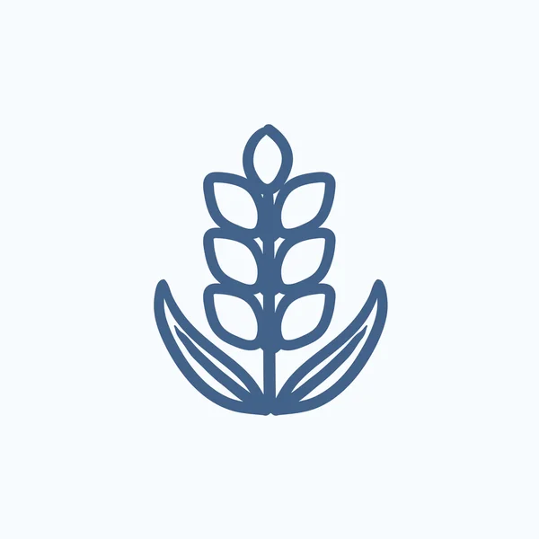 Weizen-Sketch-Symbol. — Stockvektor