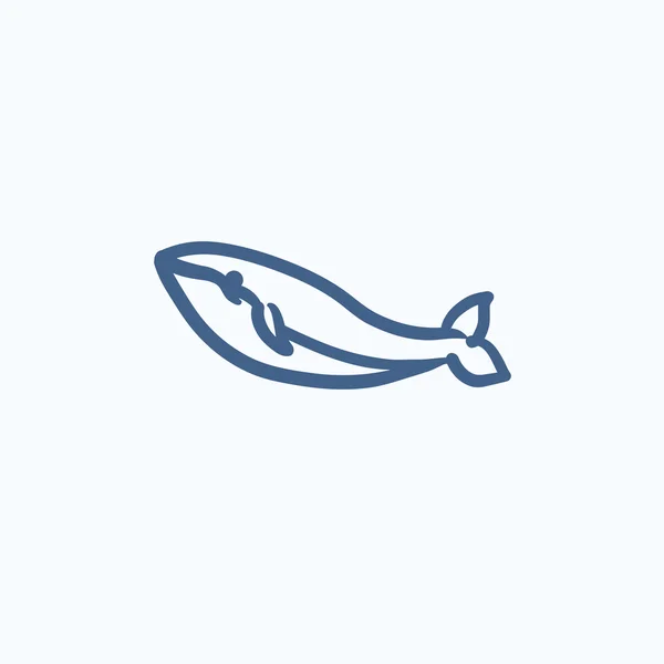 Icono del boceto de ballena . — Vector de stock
