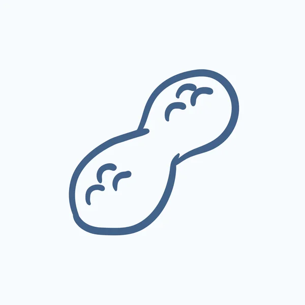 Peanut sketch icon. — Stock Vector
