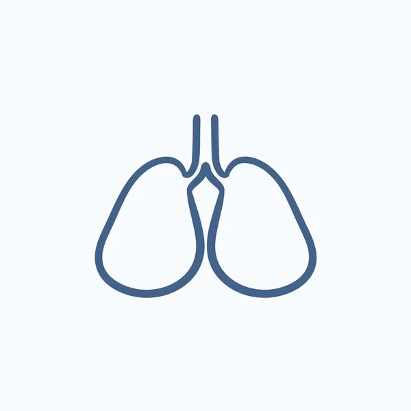 Lungs sketch icon. — Stock Vector
