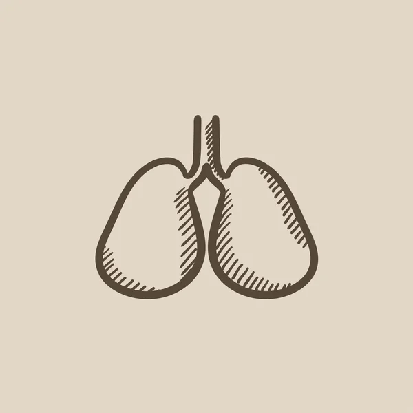 Lungs sketch icon. — Stock Vector