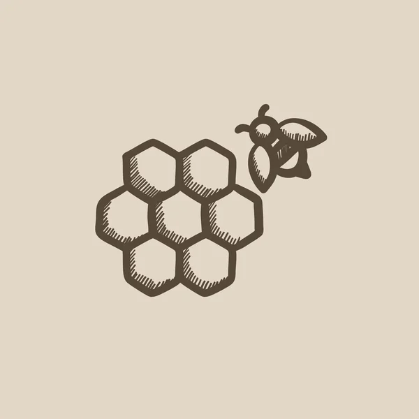 Honingraat en bee schets-pictogram. — Stockvector